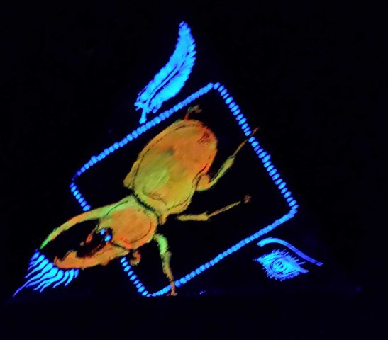 fluo26